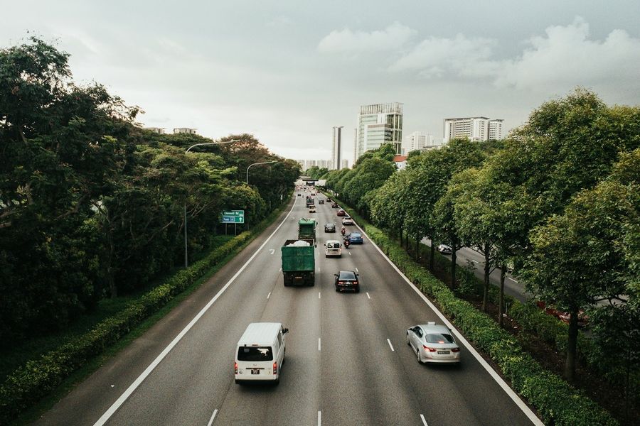Rodovia com carros entre árvores